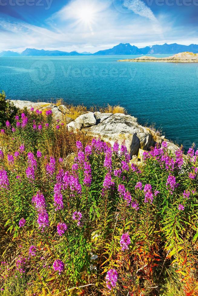 bahía del océano cerca de hennigsvaer en las islas lofoten en noruega foto