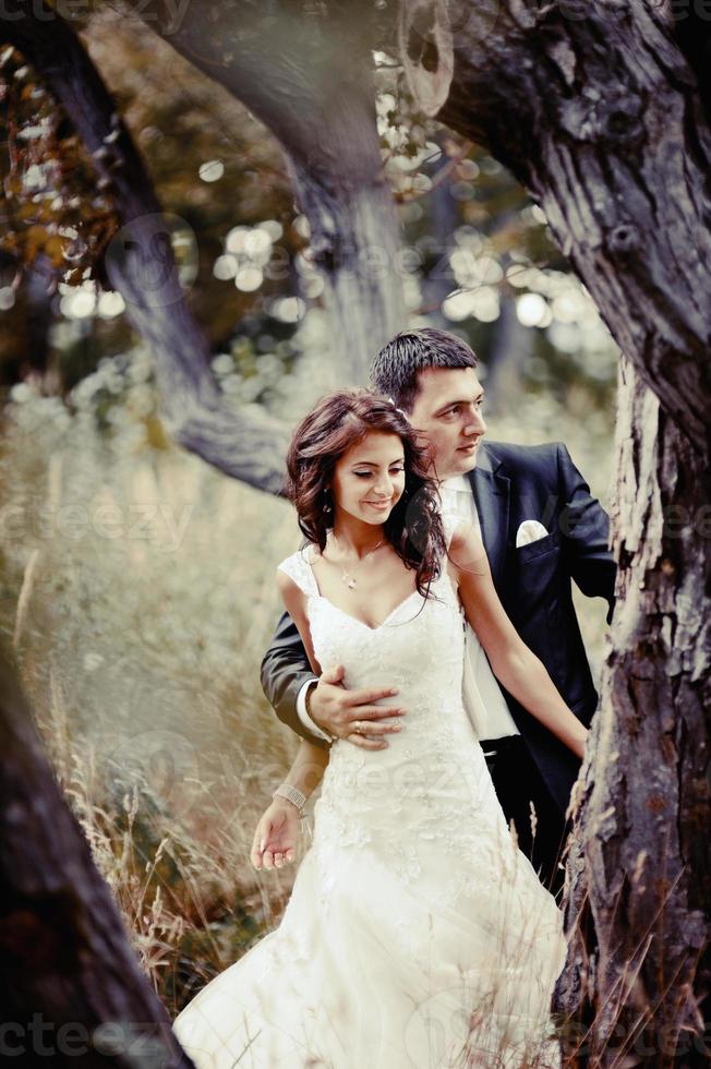 Happy bridal couple in forest. Summer wedding picture. photo