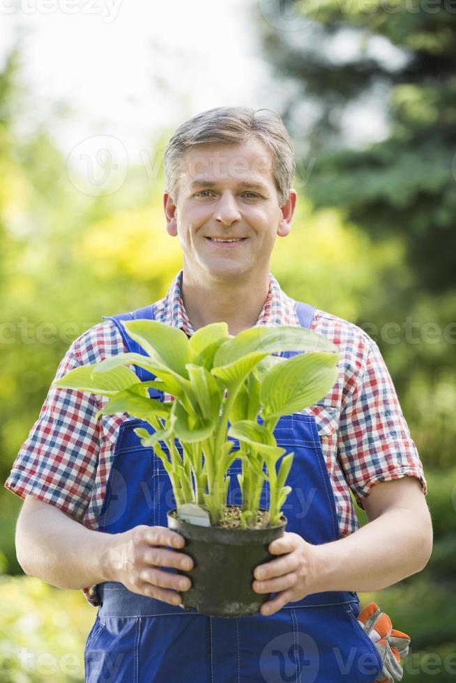 Portrait of happy gardener holding potted plant at nursery photo