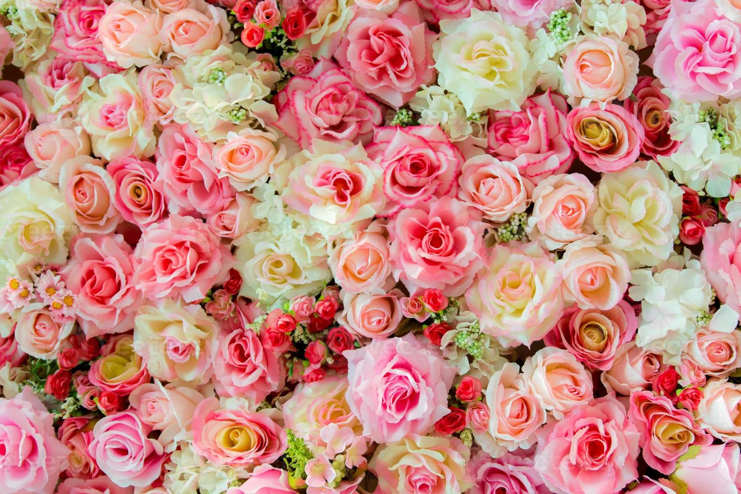 Soft color Roses background 903449 Stock Photo at Vecteezy