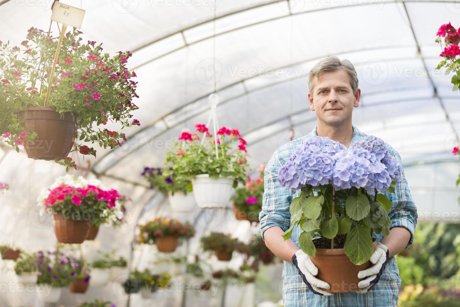 Portrait of confident gardener holding flower pot in greenhouse photo