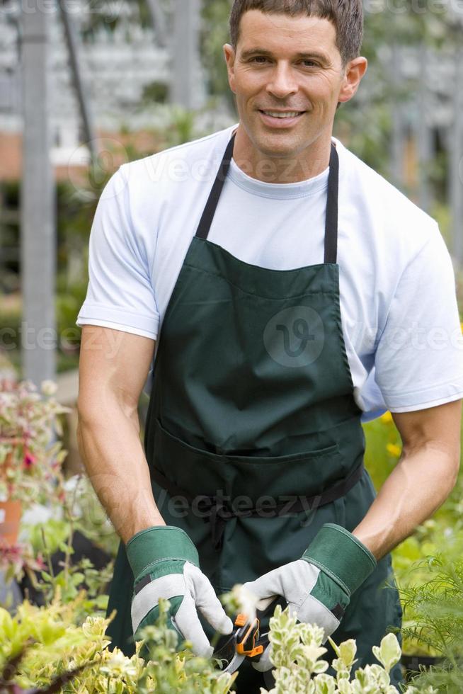 Gardener in nursery, smiling, portrait photo