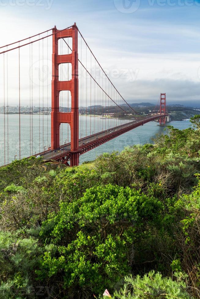 Puente Golden Gate en San Francisco con árboles verdes en primer plano foto
