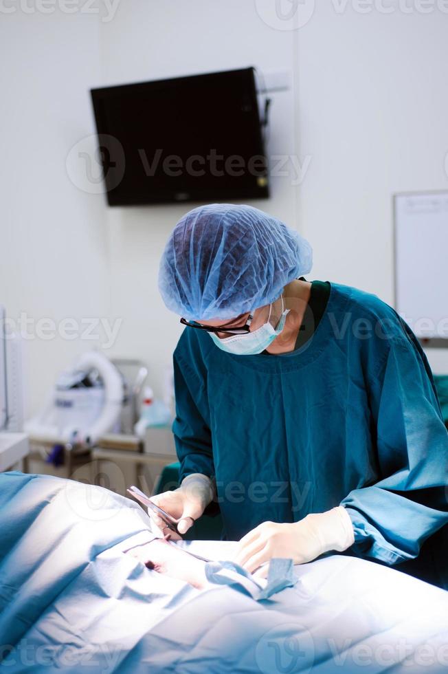 veterinarian doctor in operation room photo
