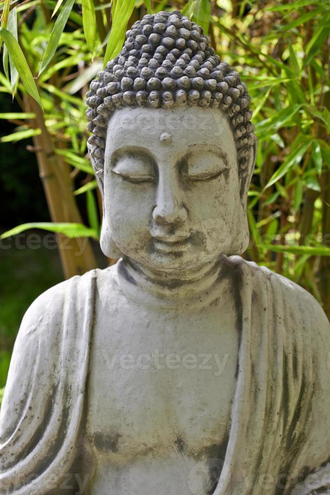 Buddha sculpture with bamboo leaves in background photo