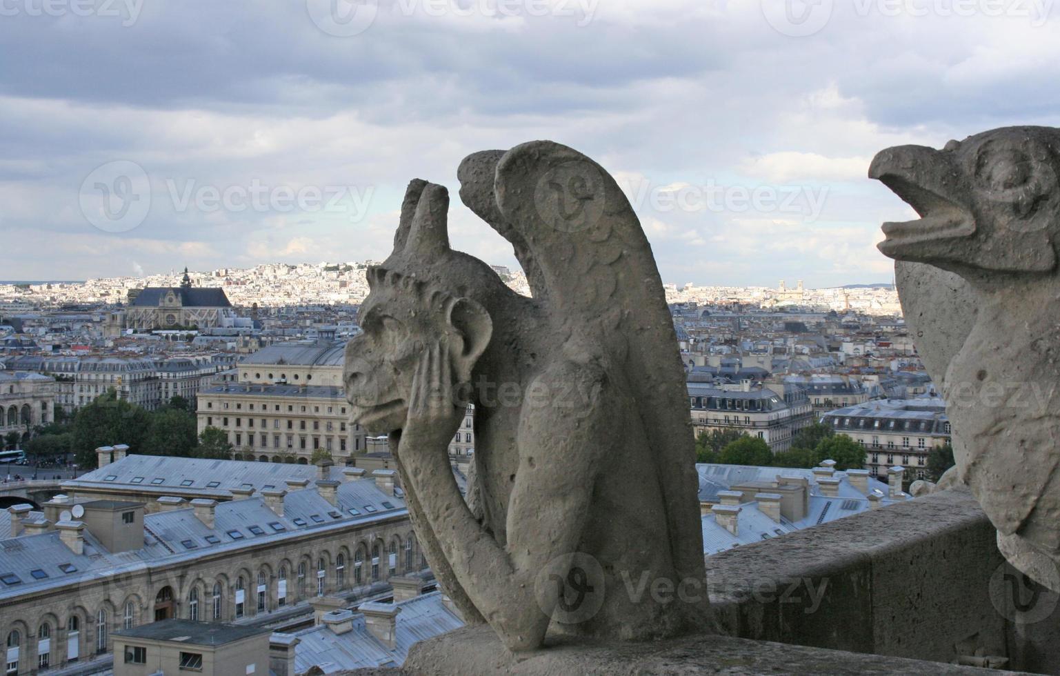 Gárgola, la catedral de Notre Dame en París, Francia. foto