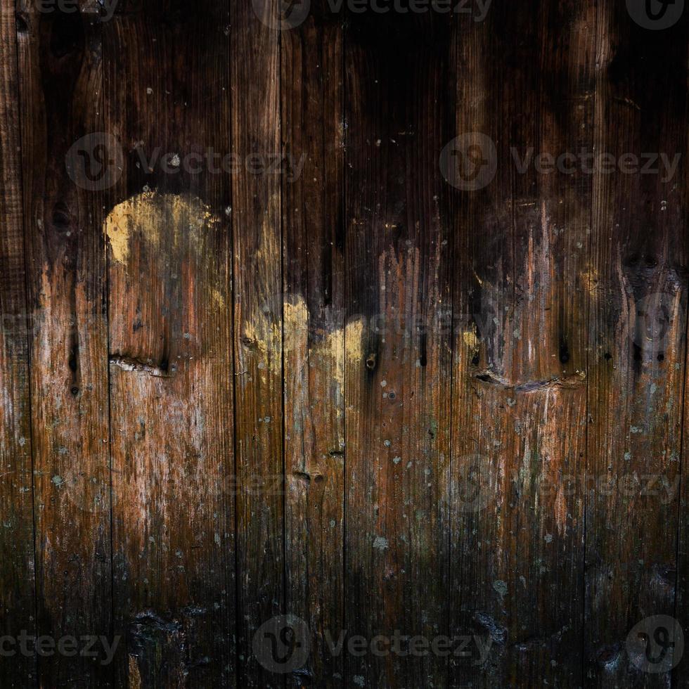 wood texture photo