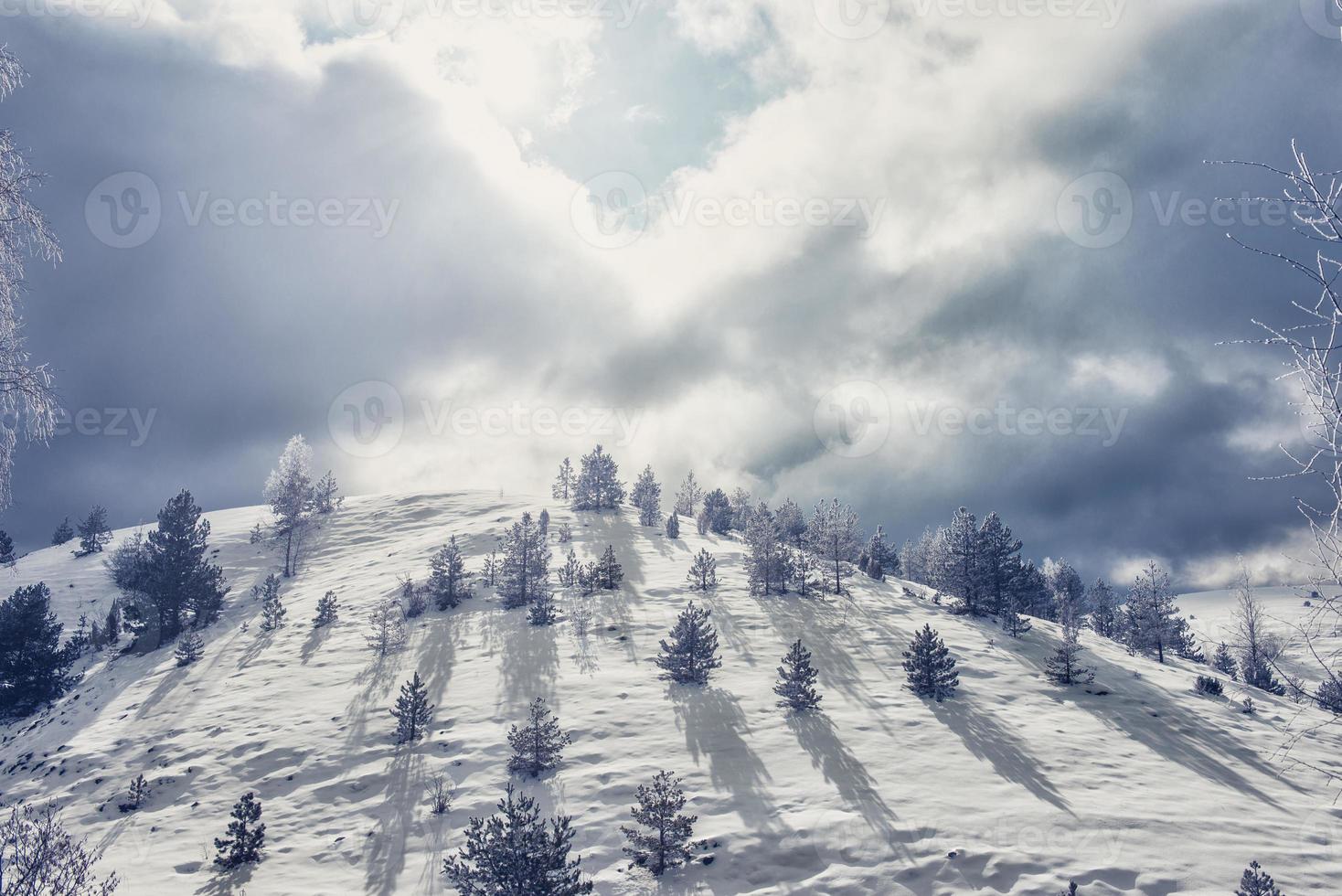 colina cubierta de nieve foto