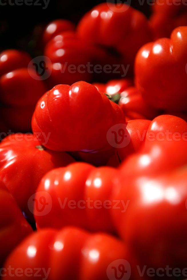 pomodori rossi foto