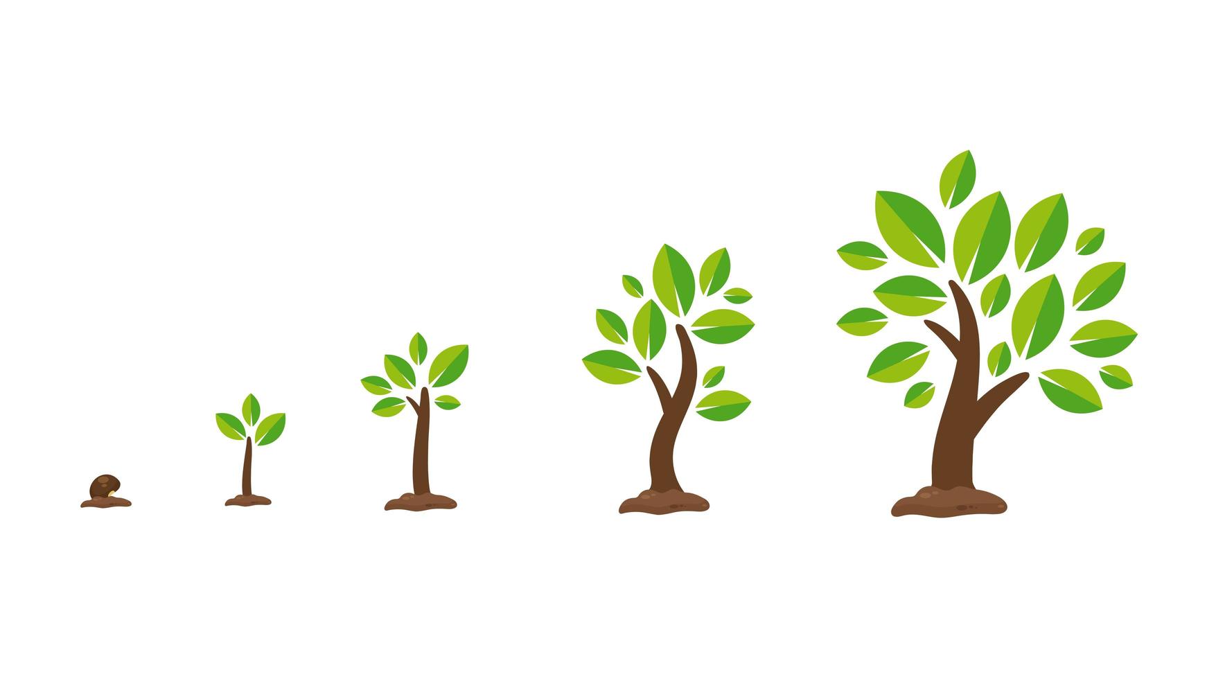 conjunto de crecimiento de plantas o árboles vector