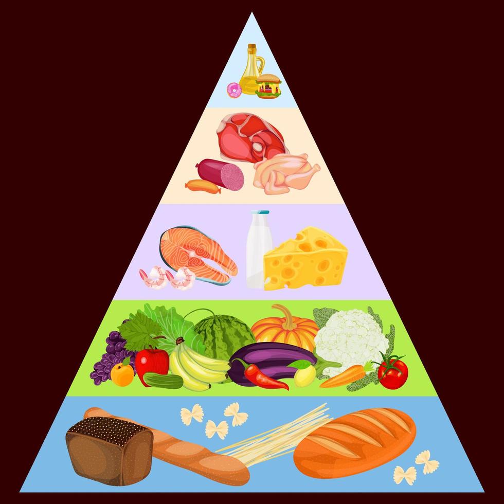 Pirámide alimenticia sobre fondo oscuro vector