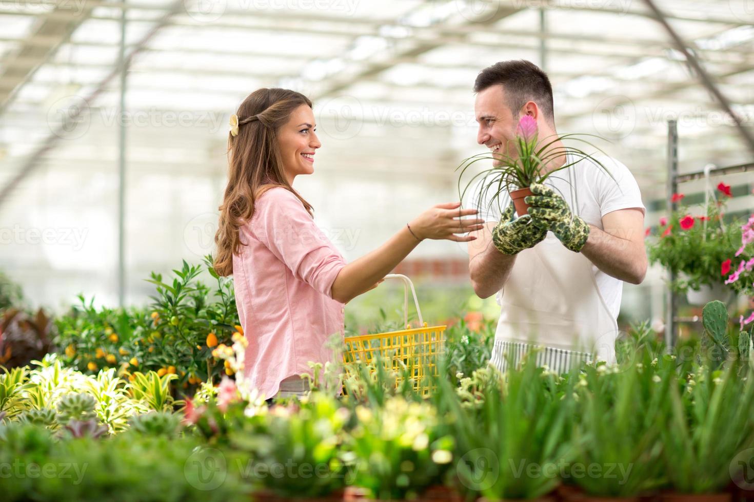 vendedor recomienda flores en invernaderos foto