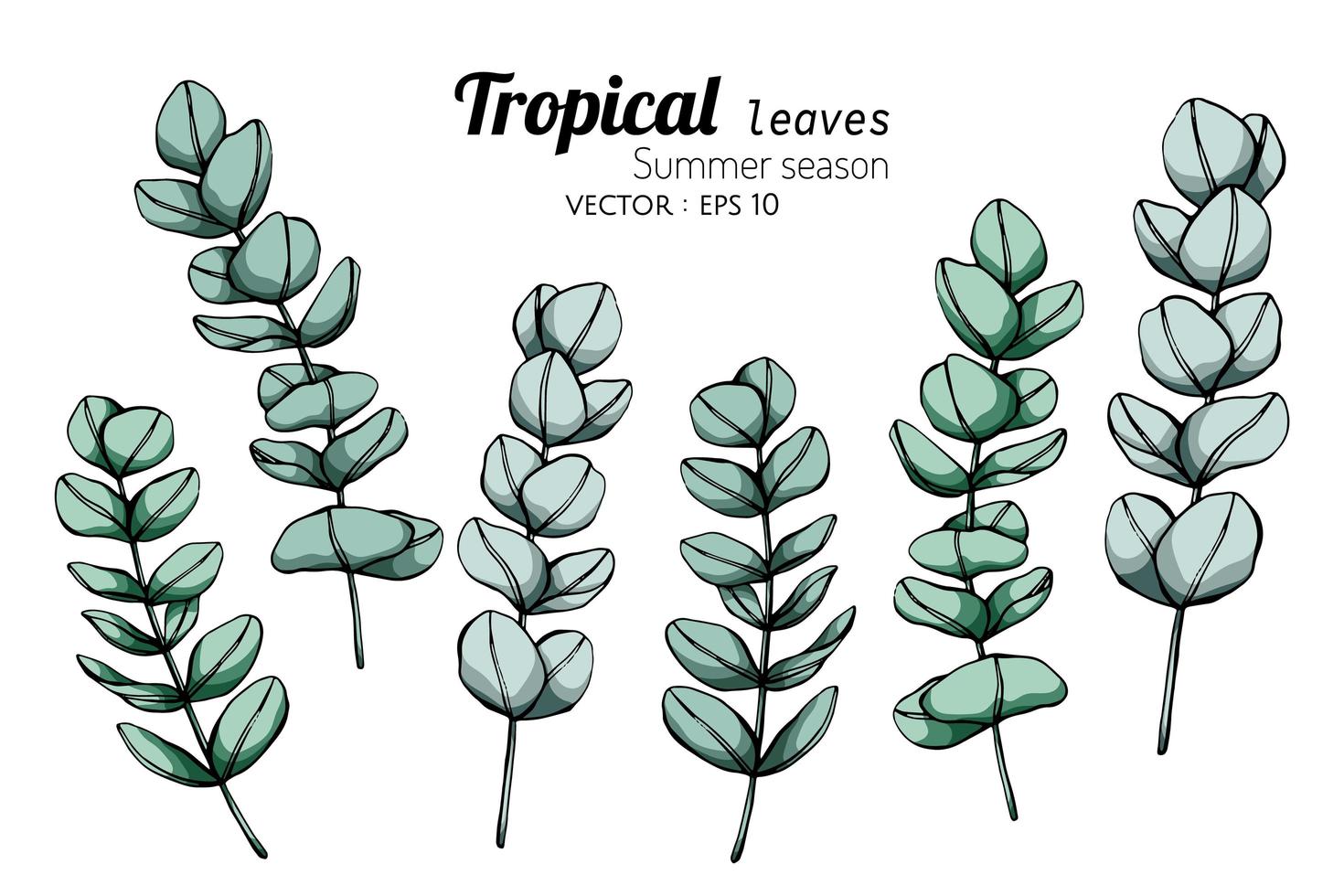 conjunto de hojas tropicales de temporada de verano vector