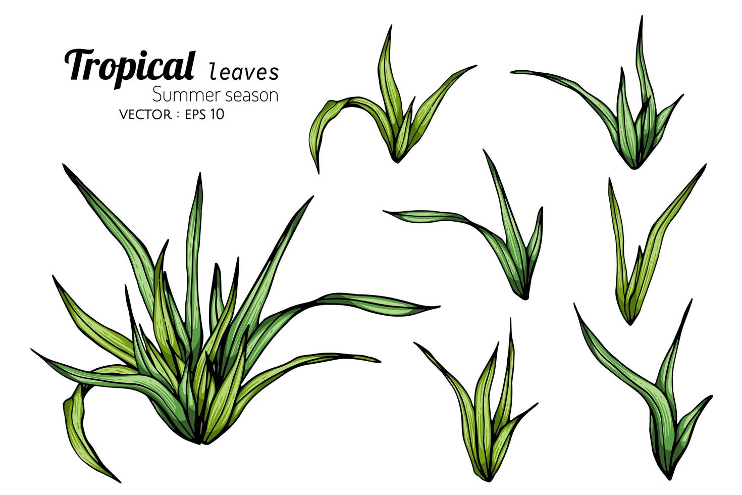 Tropical Leaf Sprout Set vector