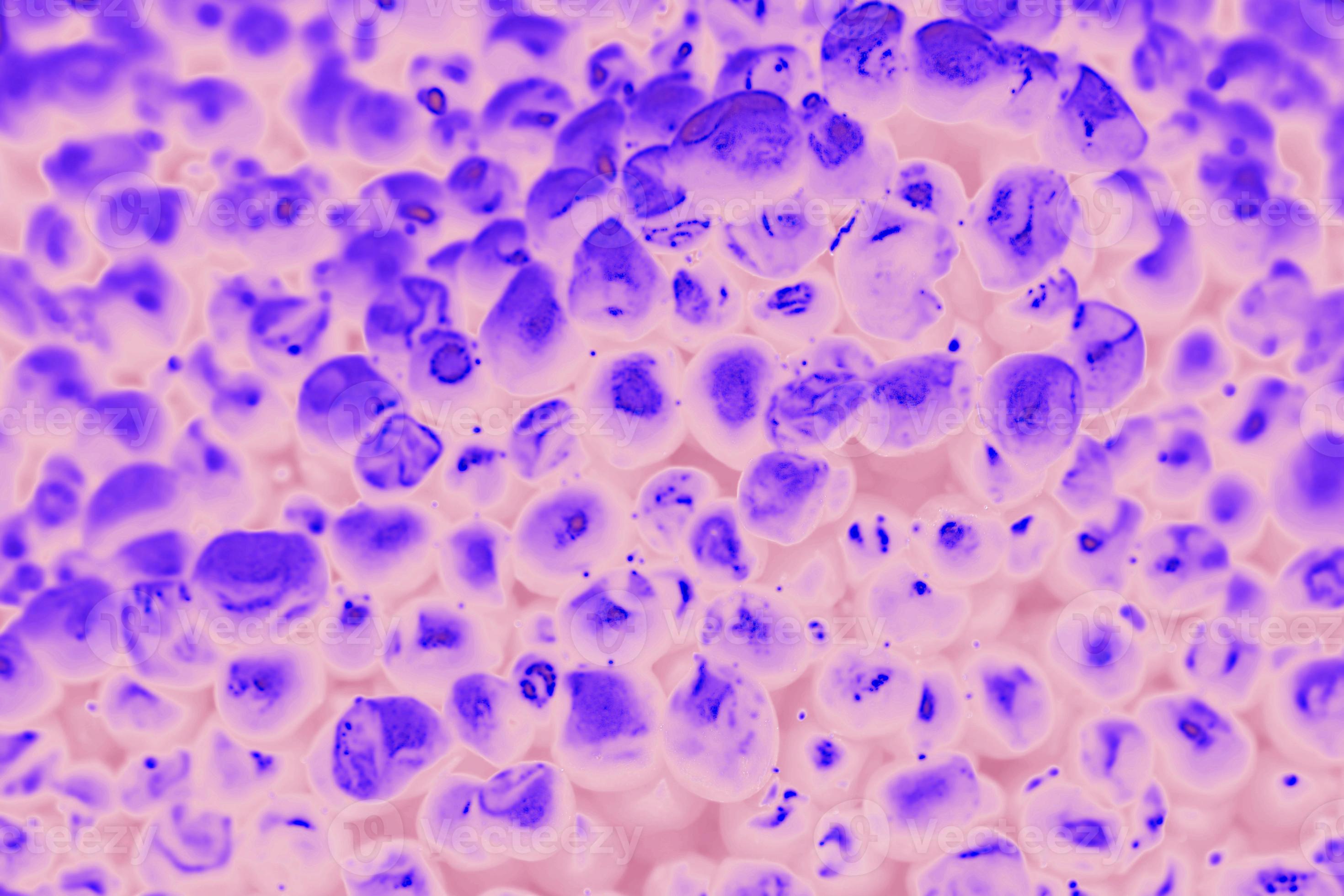 molecules enlarged under a microscope 937402 Stock Photo at Vecteezy