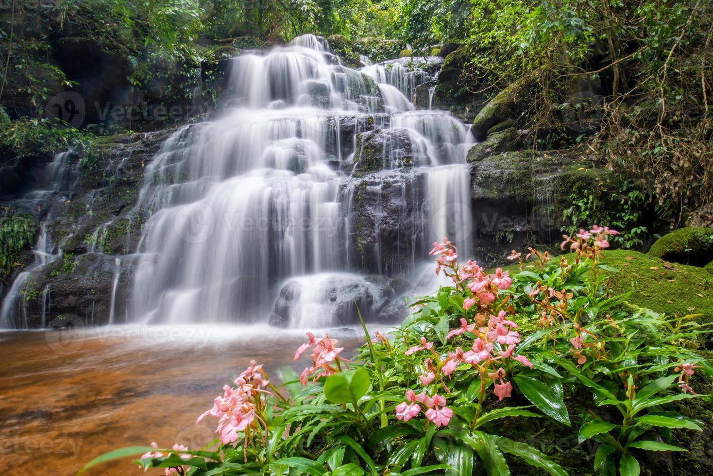 beautiful waterfall with pink snapdragon flower in foreground photo