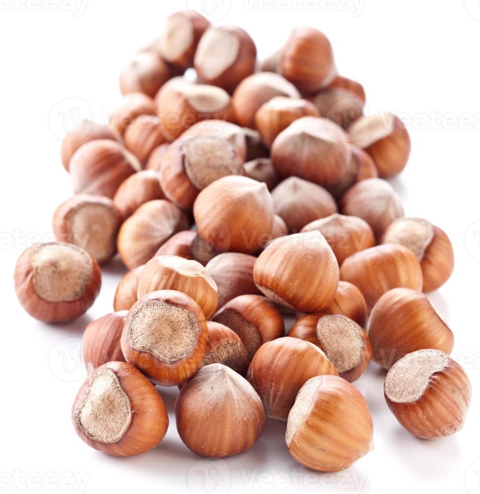 Hazelnuts. photo