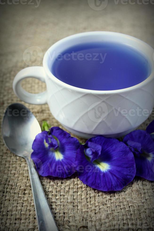 Butterfly pea drink or BlueChai photo