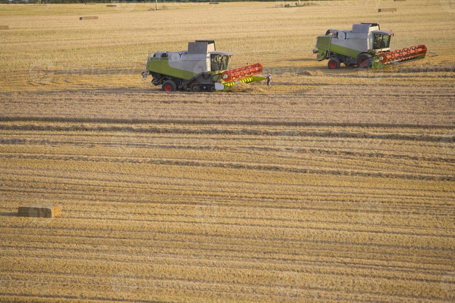 combina la cosecha de trigo en un campo rural soleado foto