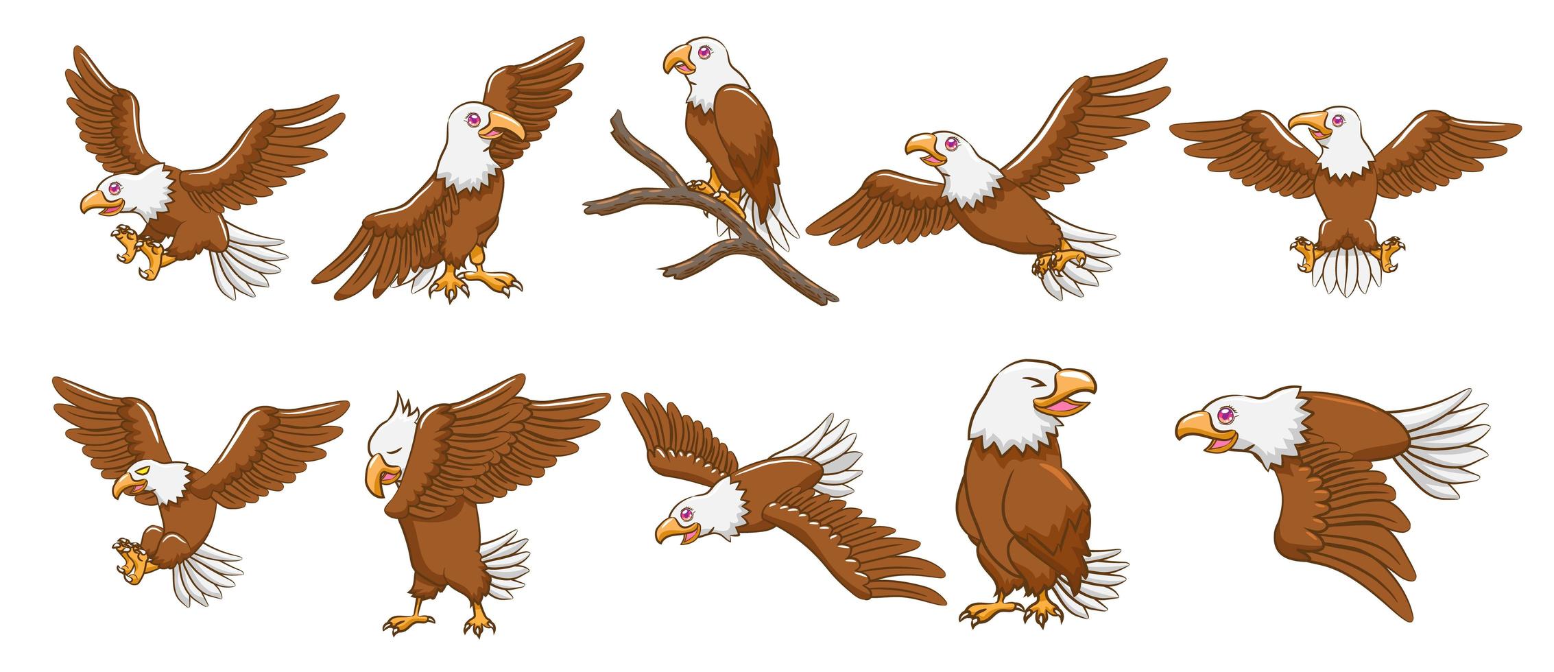 Eagle Cartoon Set  vector