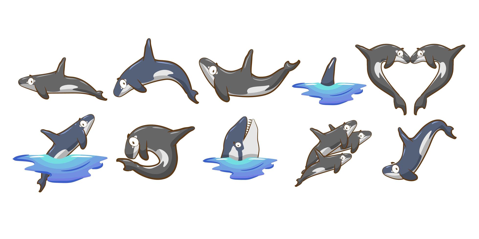 conjunto de orca de dibujos animados vector