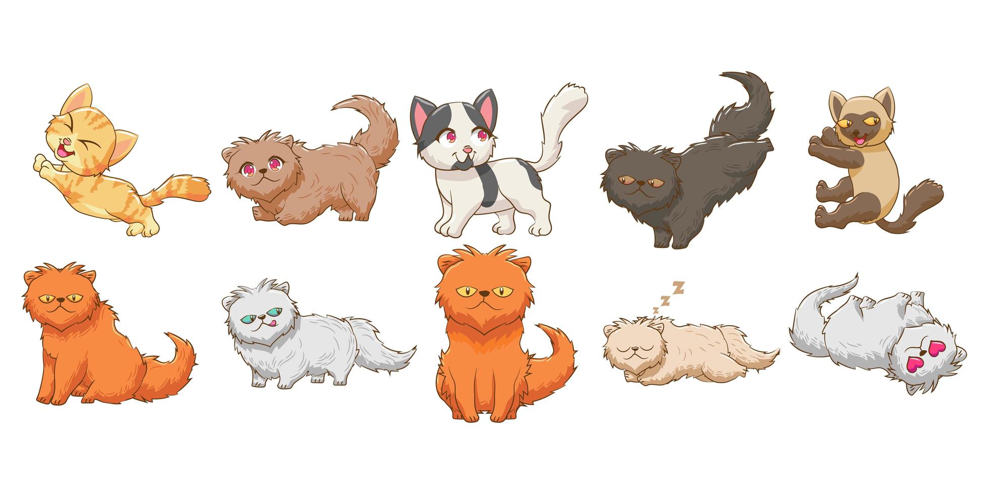 conjunto de dibujos animados de gato vector