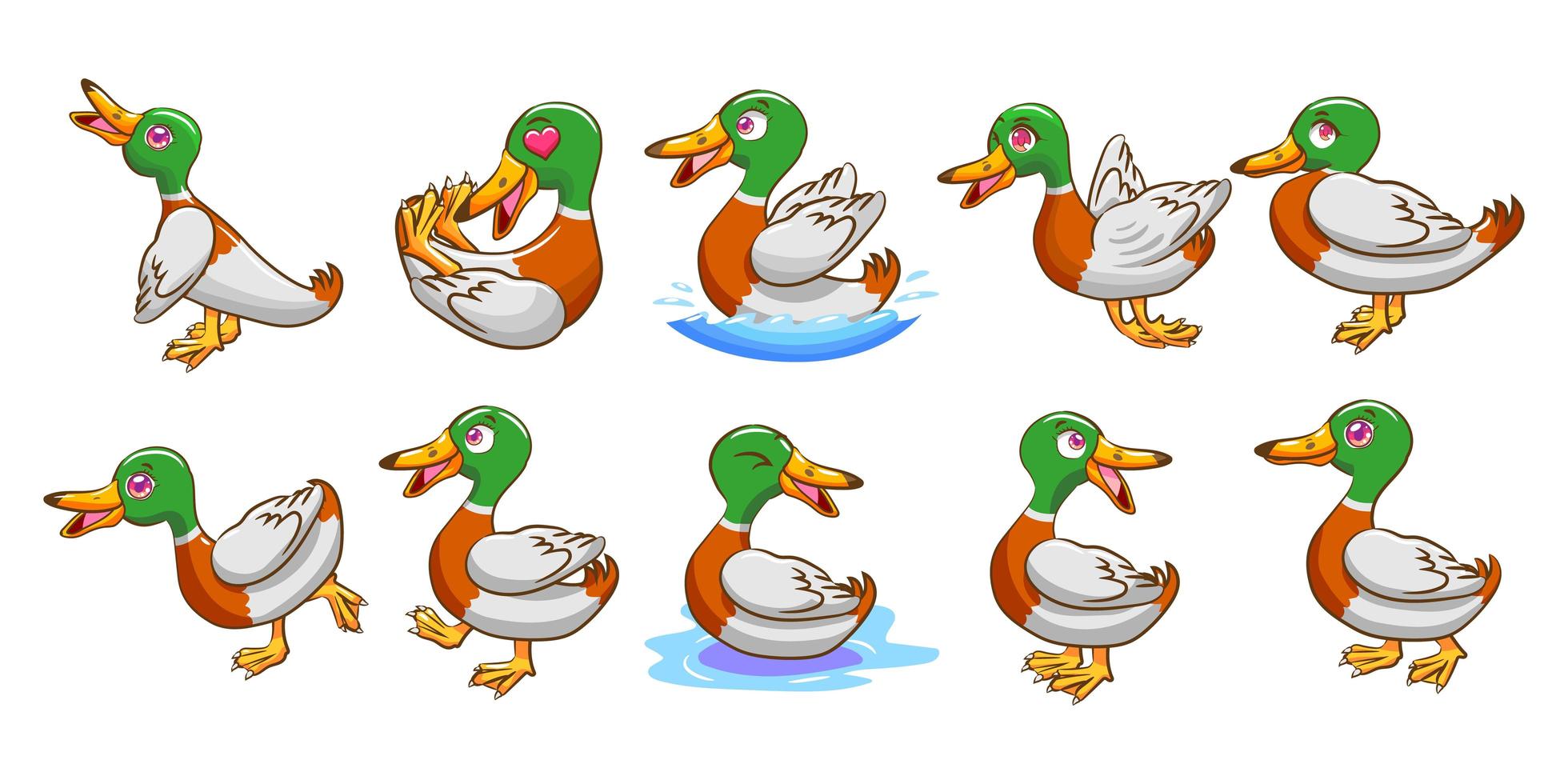 conjunto de dibujos animados de pato vector