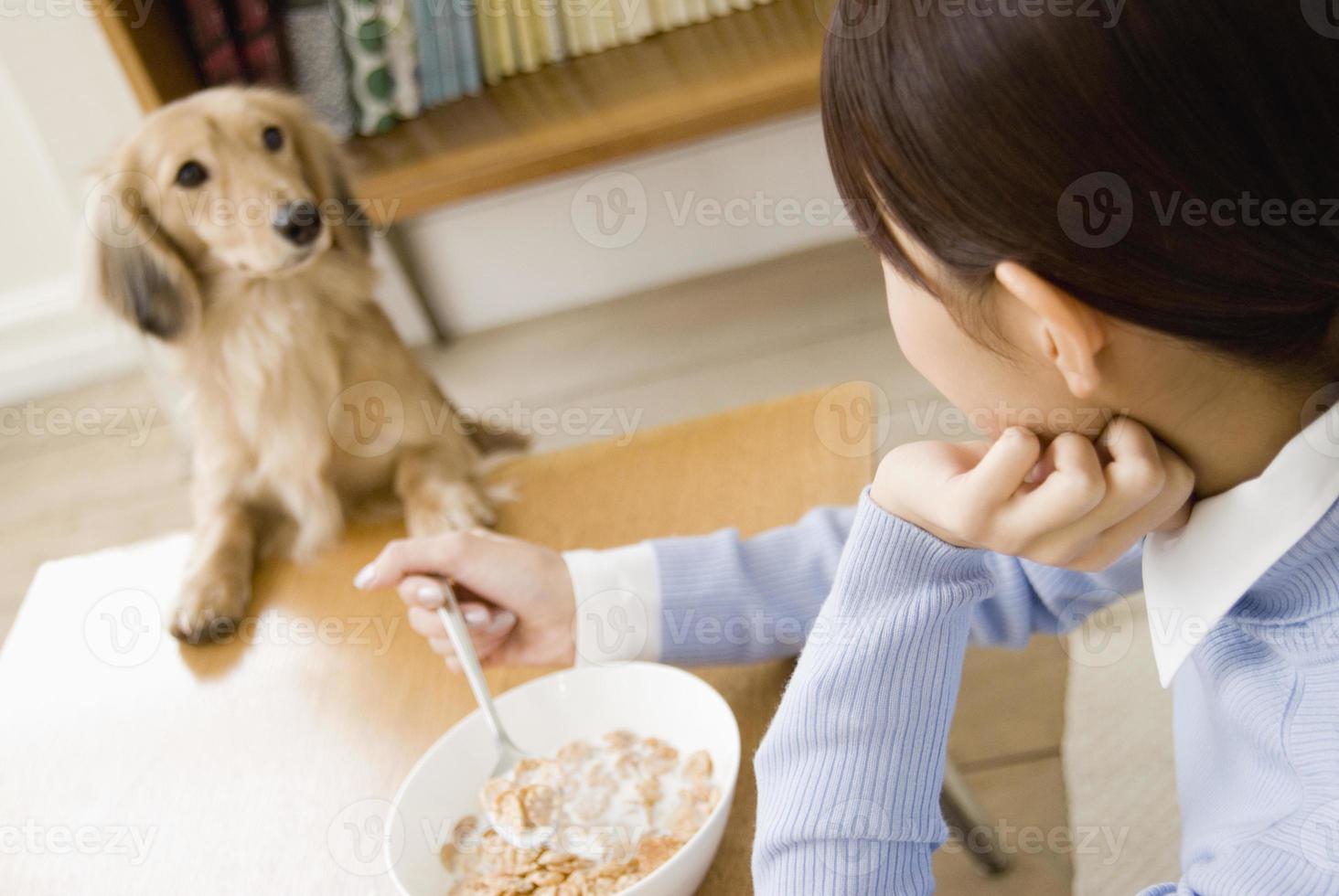 Dog looking into woman having meal photo