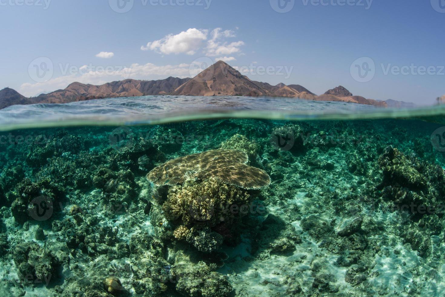 arrecife de coral e islas en indonesia foto