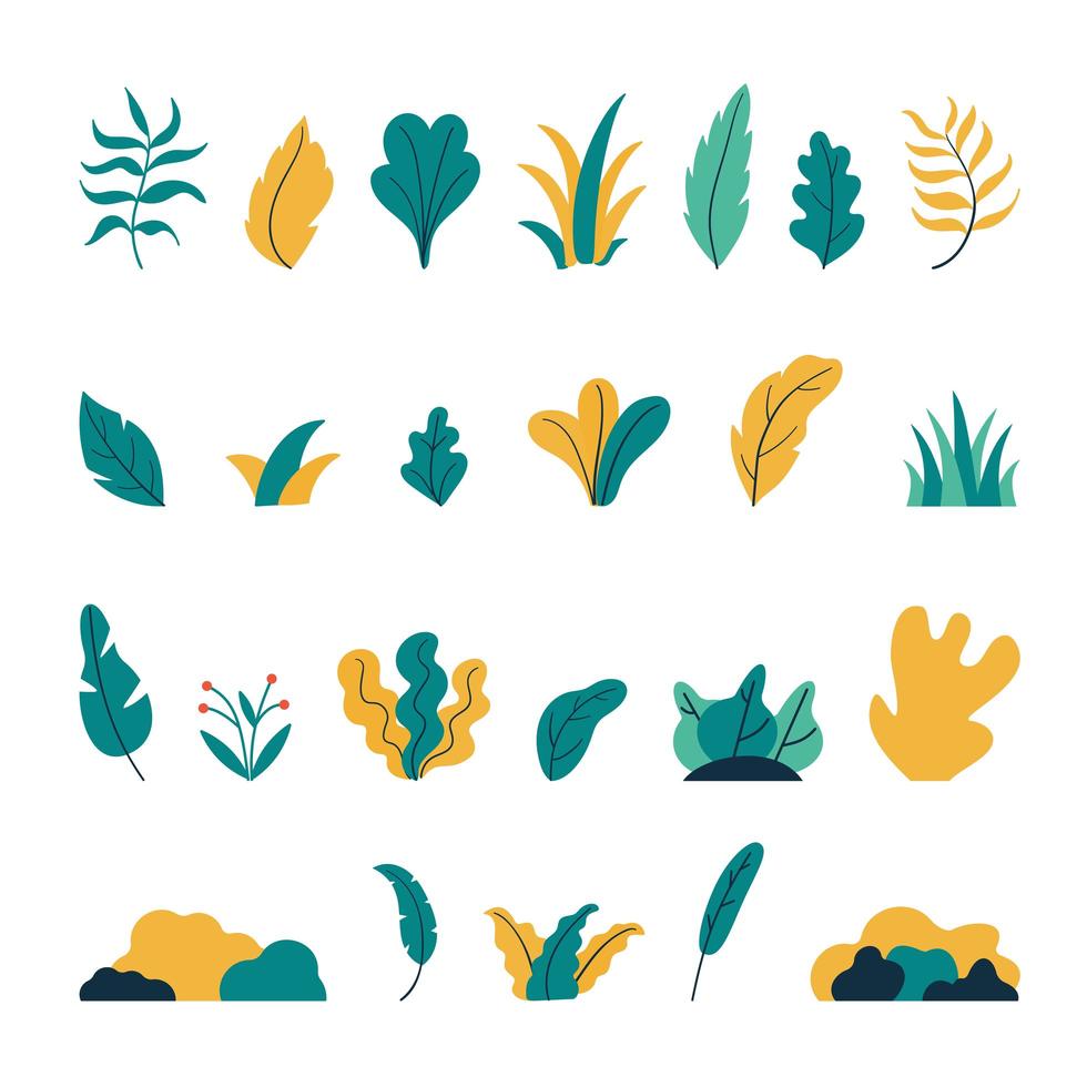 Set Of Colorful Plant Elements vector