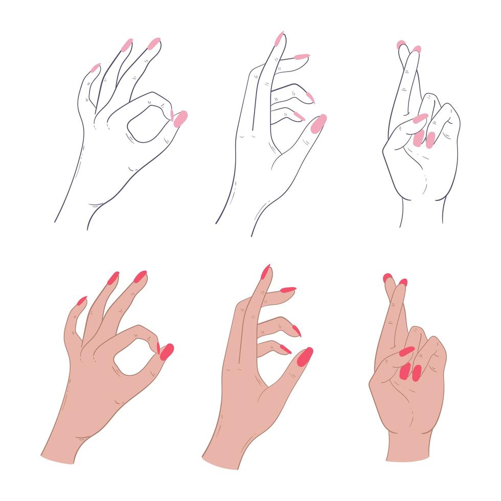 Set Of Feminine Hand Gestures vector