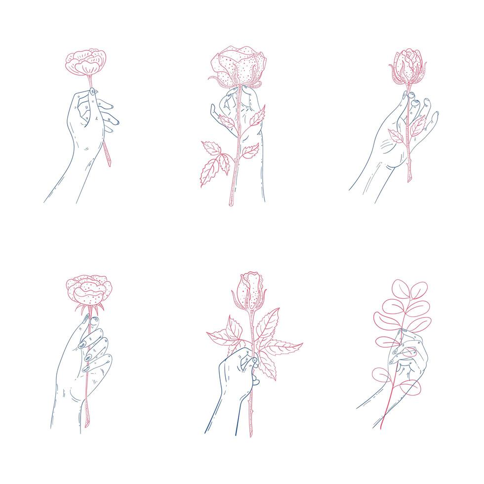 conjunto de manos sosteniendo flores vector