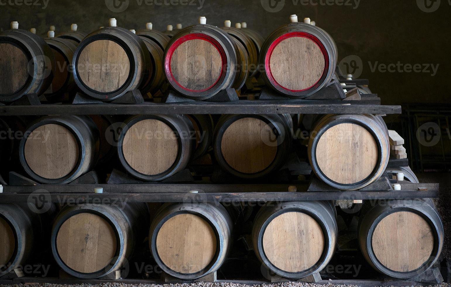 barriles de vino foto