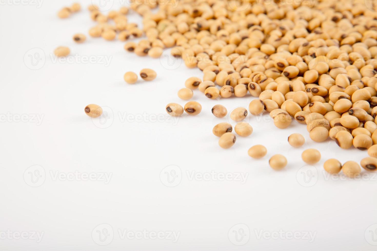 Soybeans with copy space photo