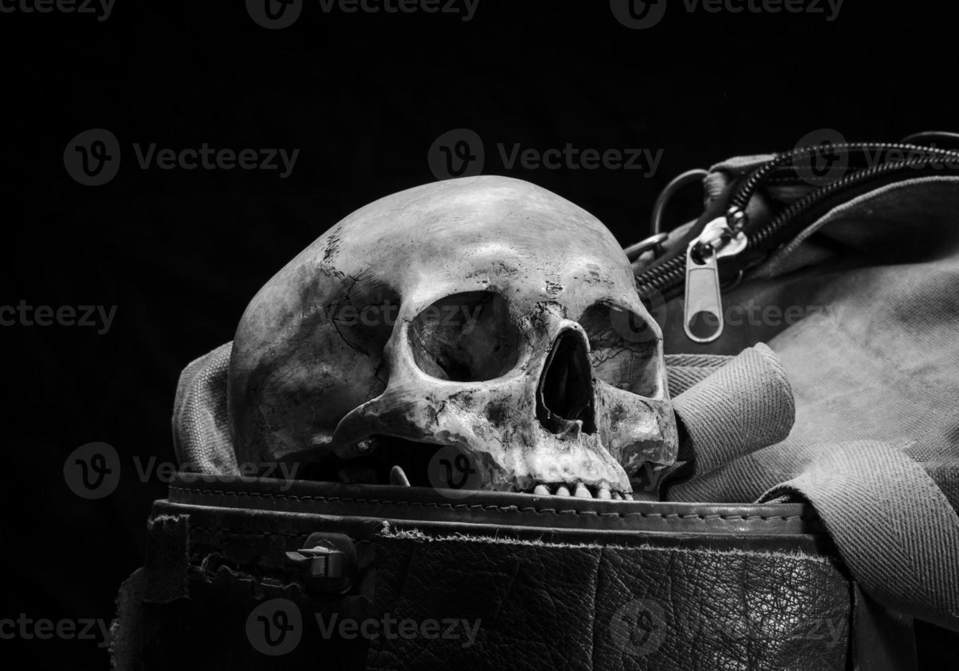 human skull are placed in old leather box photo