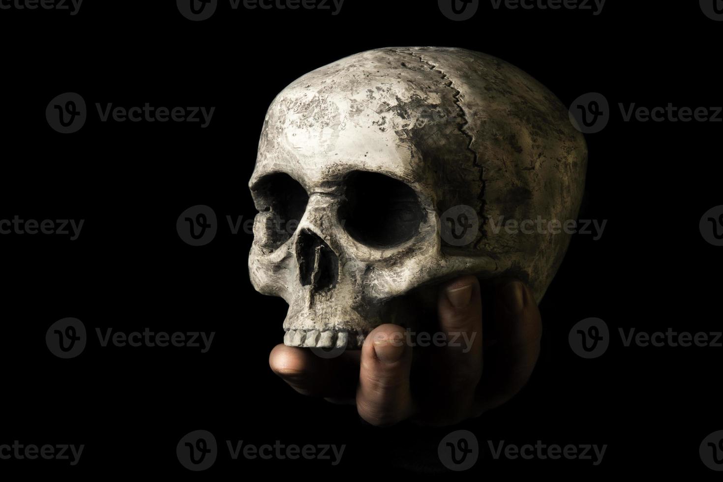 Human Skull and hand photo