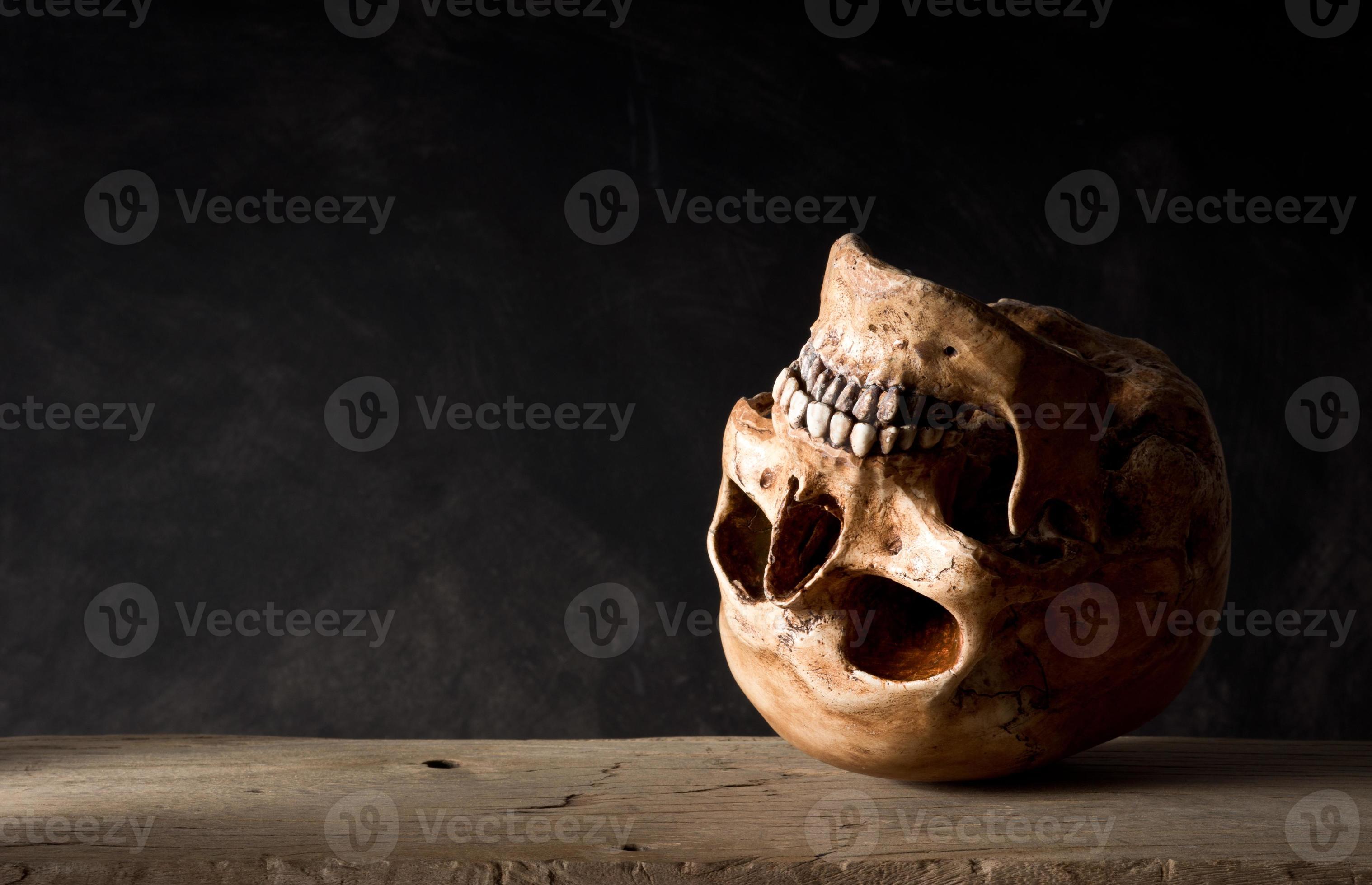 Human Skull Stock Photo