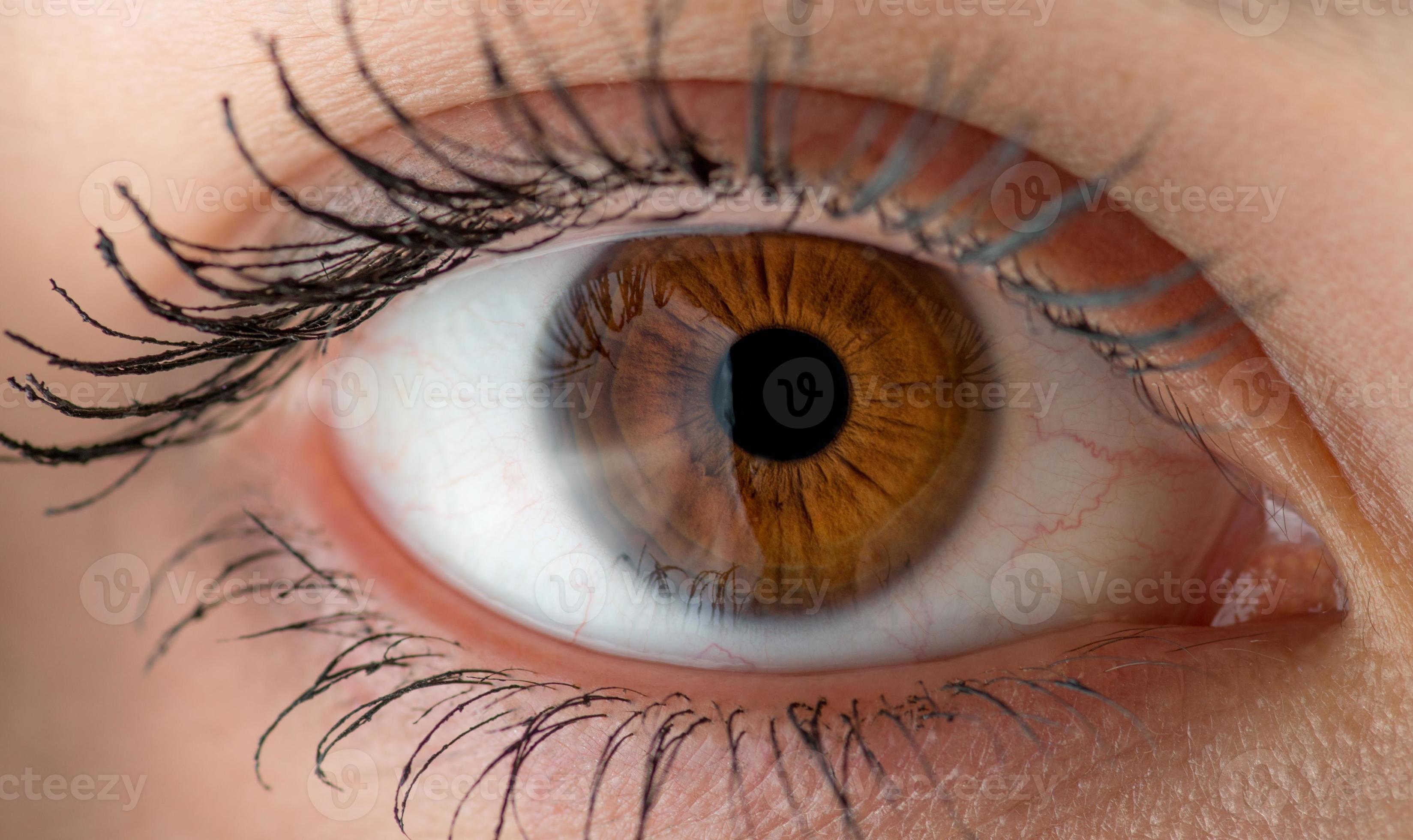 Human eye. Macro. photo