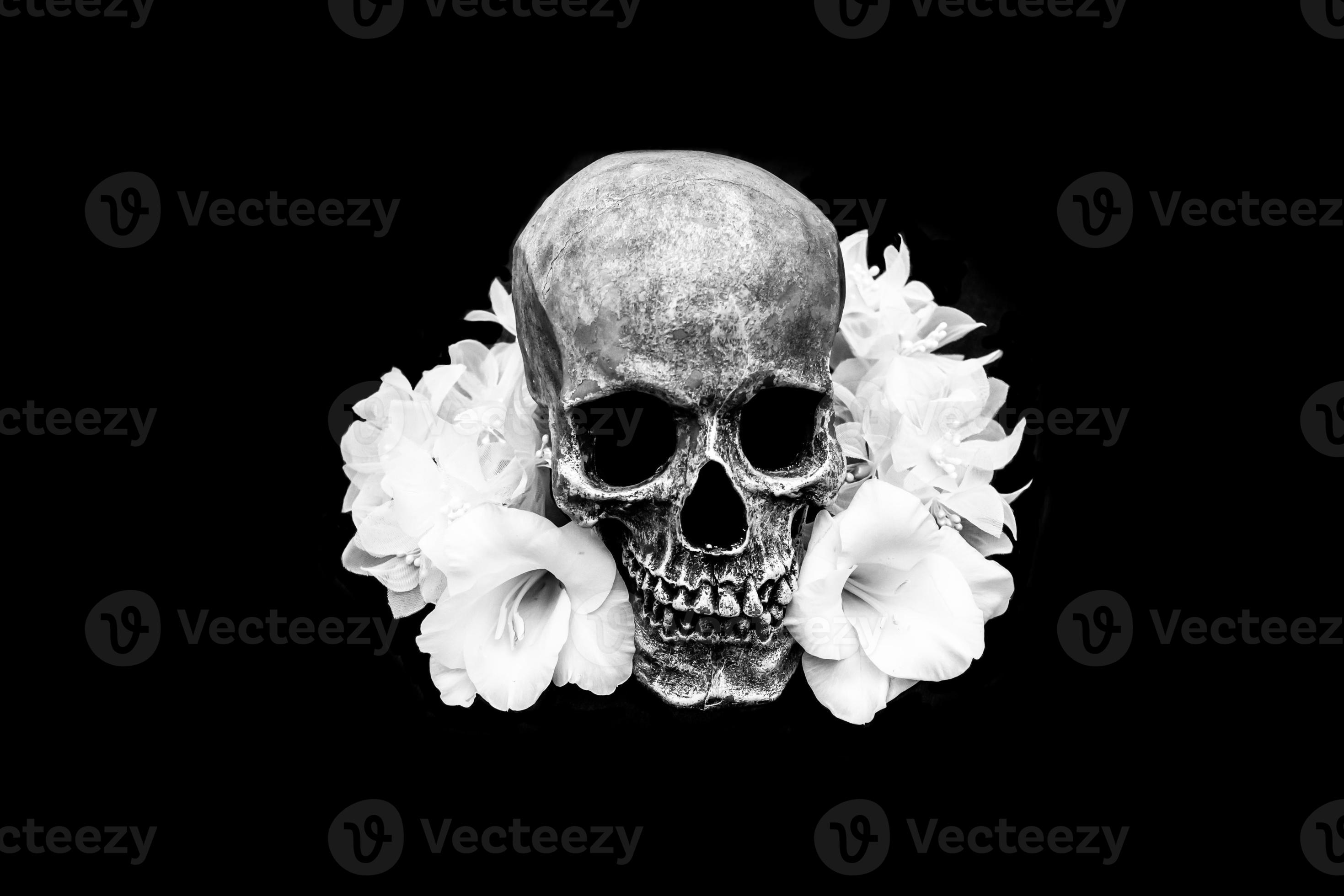 Human Skull White White Flowers Stock Photo