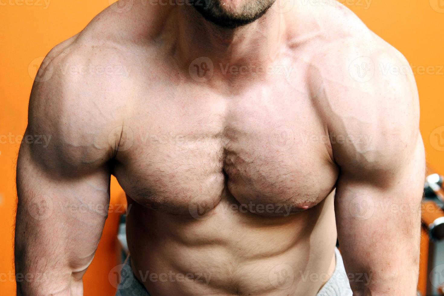 muscular fitness model torso photo
