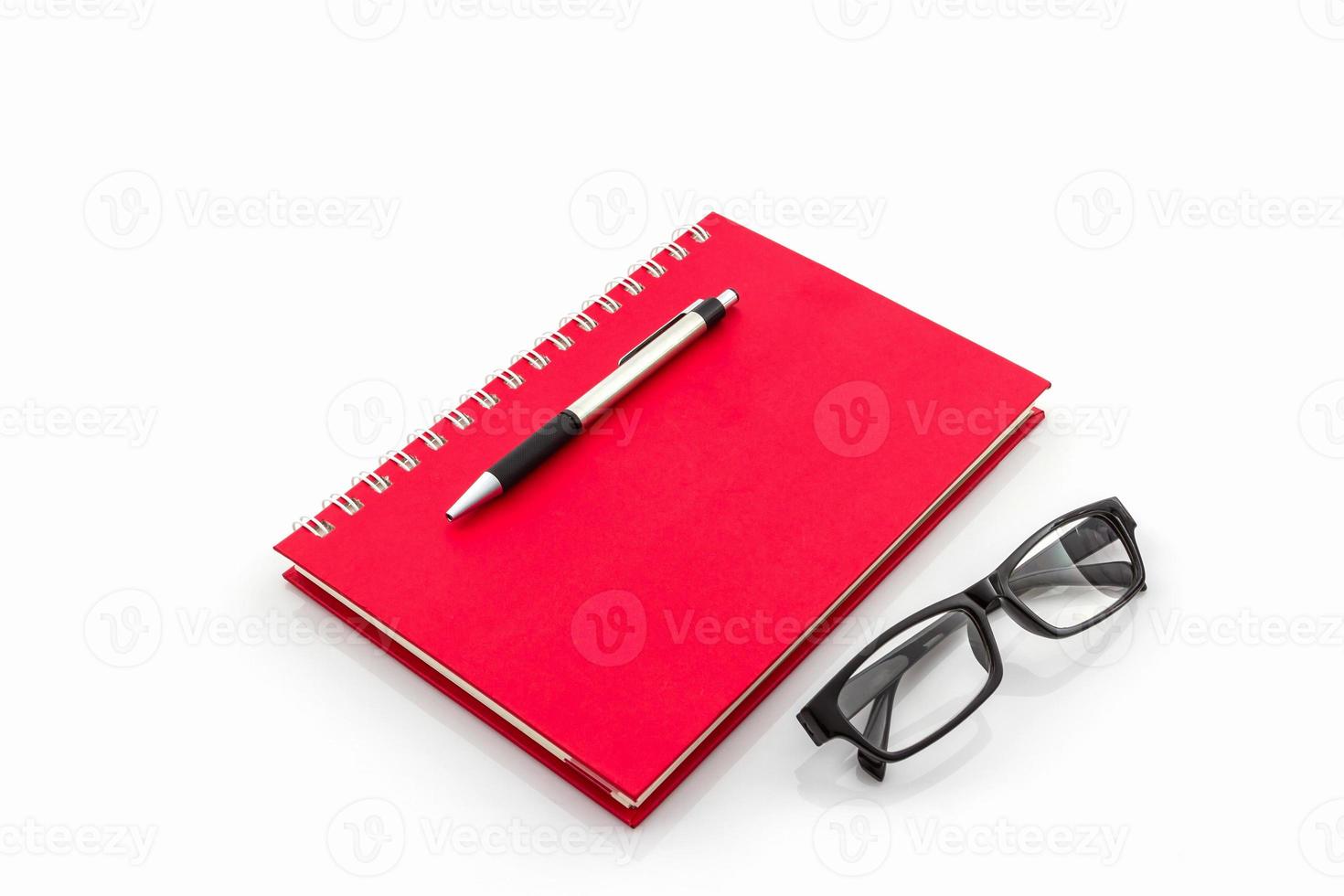 libro diario rojo con la palabra "profesional". foto