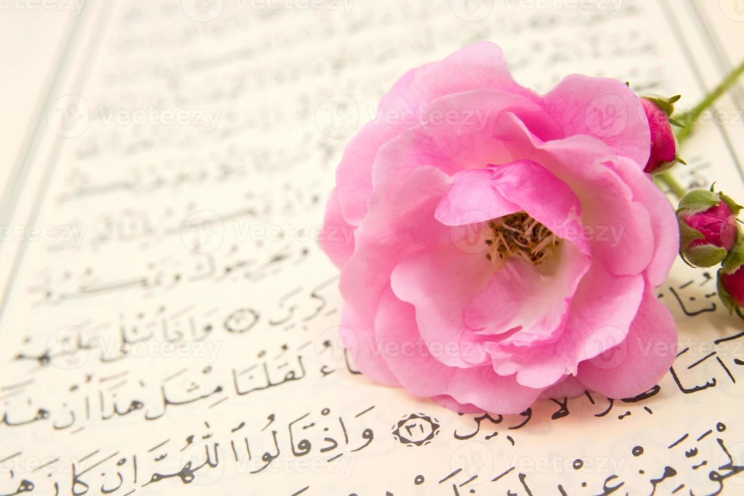 Corán y rosa foto
