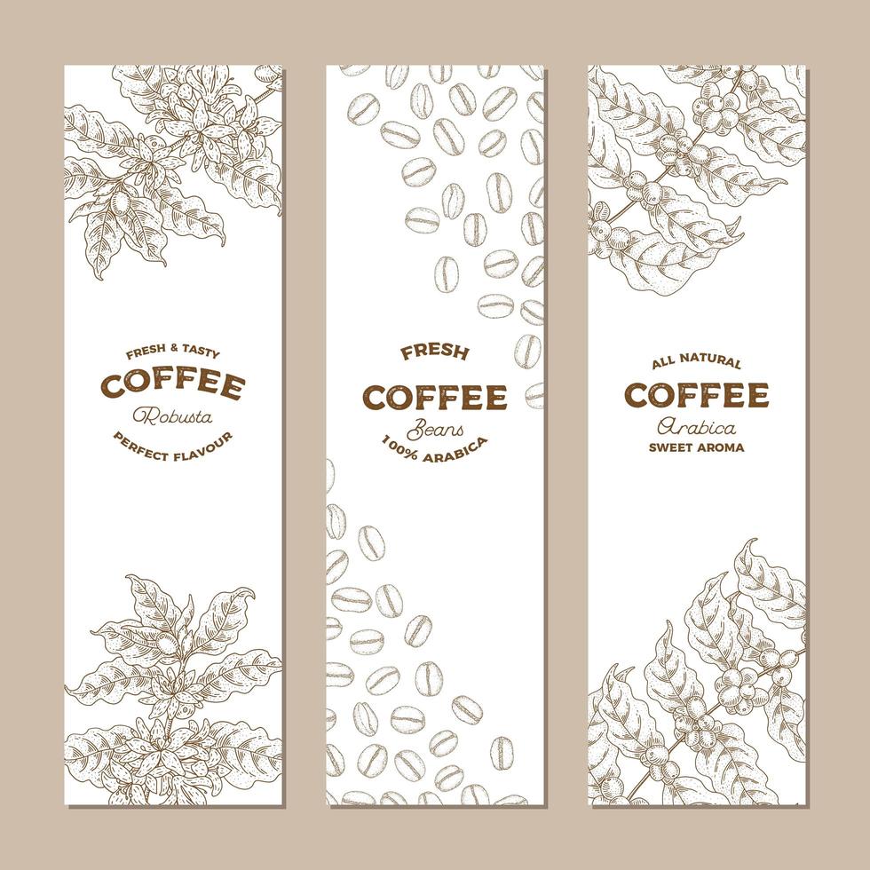 conjunto de banners de planta de café vector