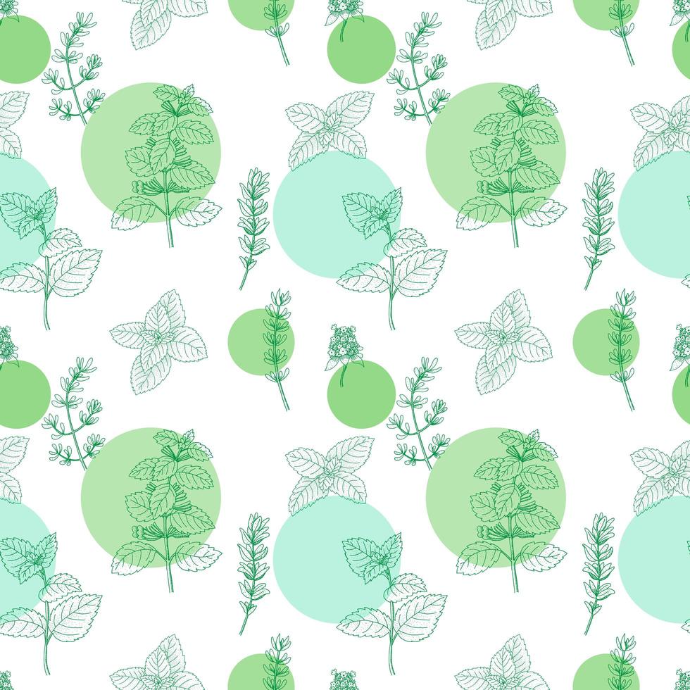 Seamless Pattern with Herbs vector