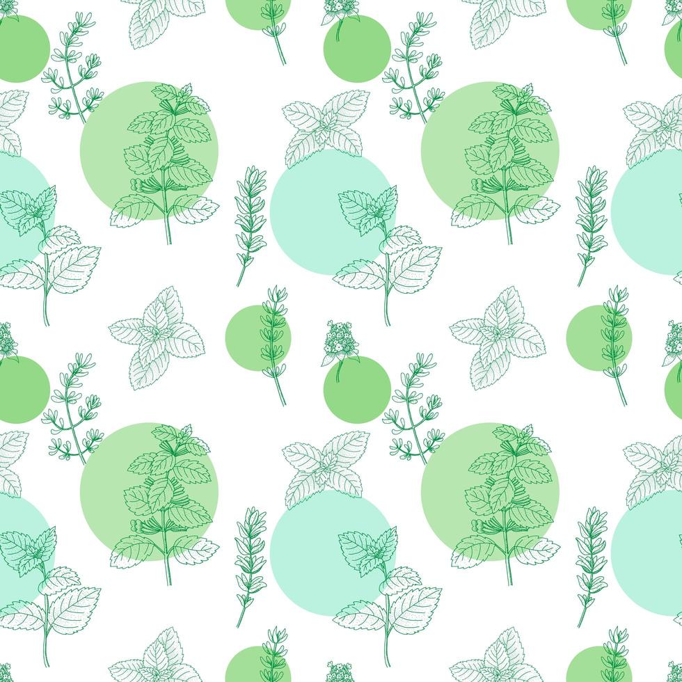 Seamless Pattern with Herbs vector