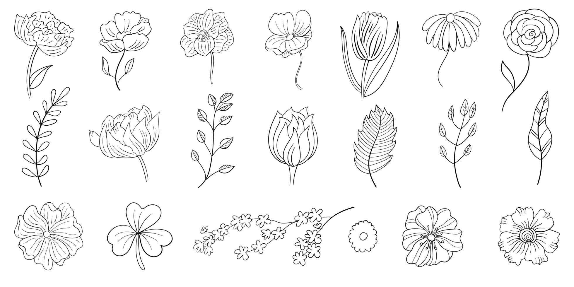conjunto de flores de línea dibujada a mano vector