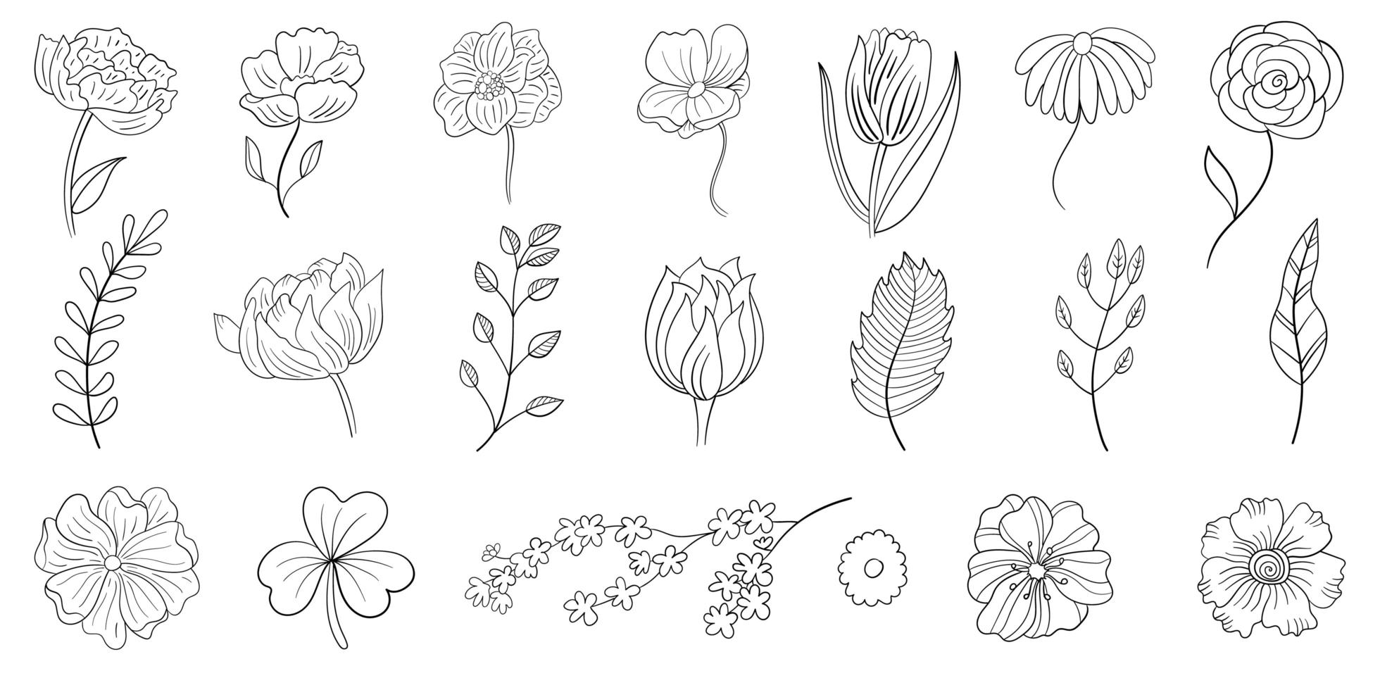 Set line art flowers with lettering Royalty Free Vector