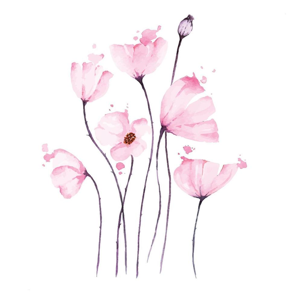 Bouquet Of Pink Poppies Watercolored  vector