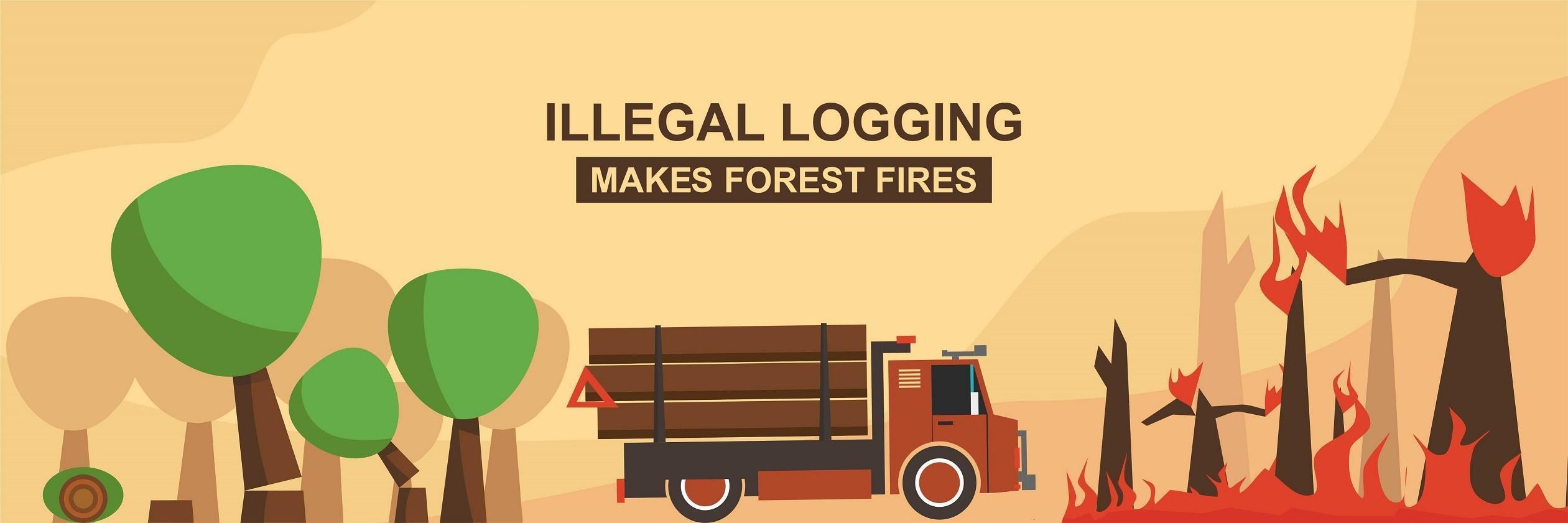 Illegal Logging Make Forest Fires vector