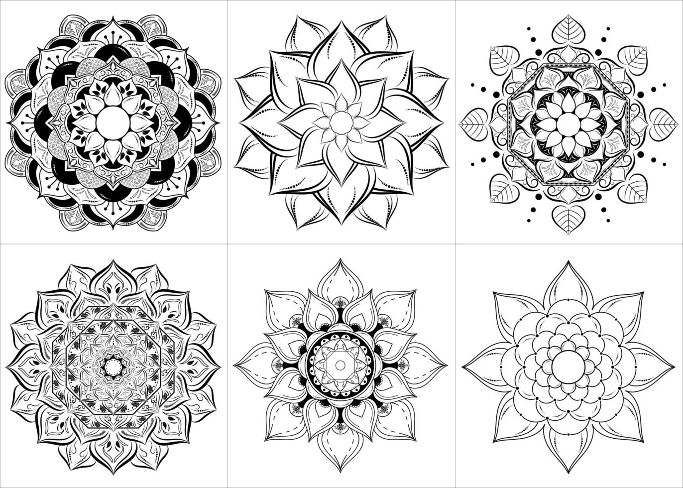 Black and White Mandala Set in Floral Style vector